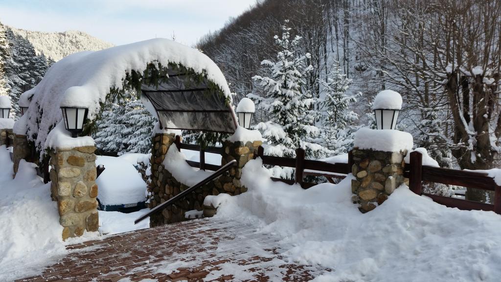 Pension Curmatura Stezii Răşinari 외부 사진